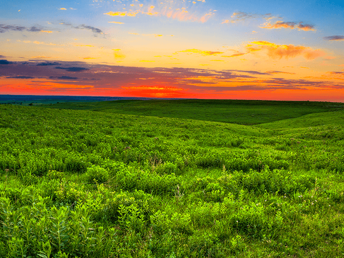 What tires do you need for Kansas weather?