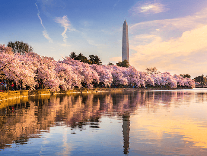 What tires do you need for Washington D.C. weather?